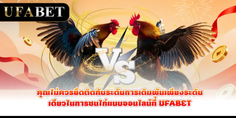 คุณไม่ควรยึดติดกับระดับการเดิมพันเพียงระดับเดียวในการชนไก่แบบออนไลน์ที่ UFABET